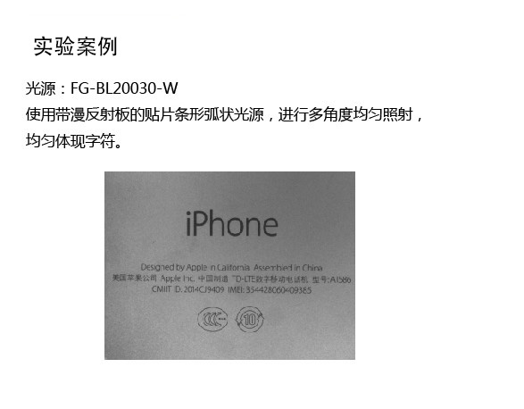 FG-BL100030
